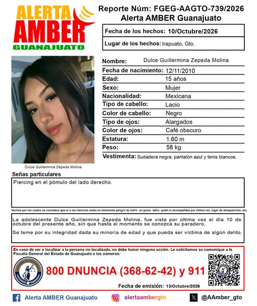 #Irapuato Alerta AMBER